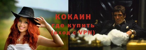 хмурый Арсеньев