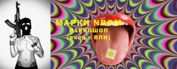 хмурый Арсеньев